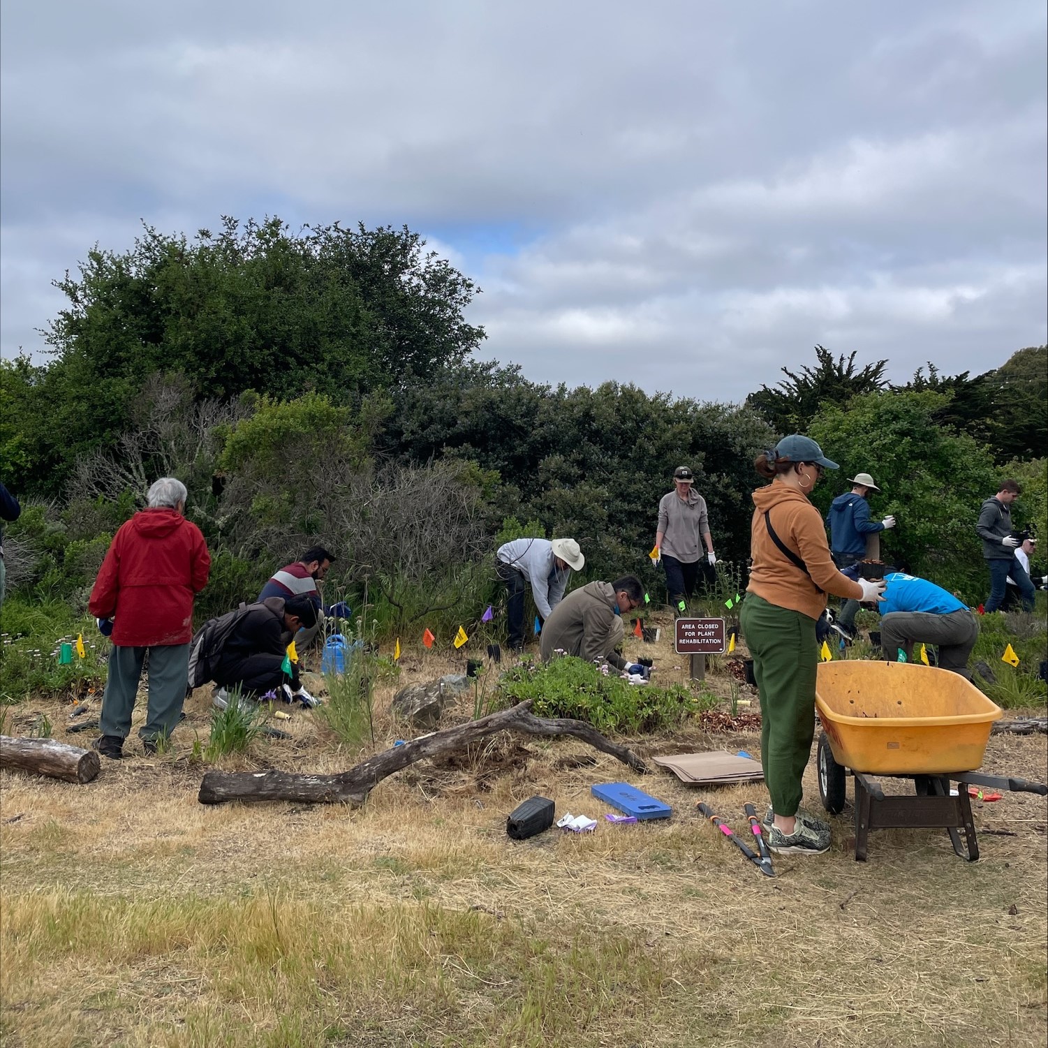 people planting native species people planting native species